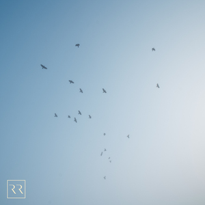 ㊙️羞羞视频免费看网站
