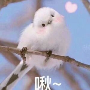 ㊙️羞羞视频免费看网站
